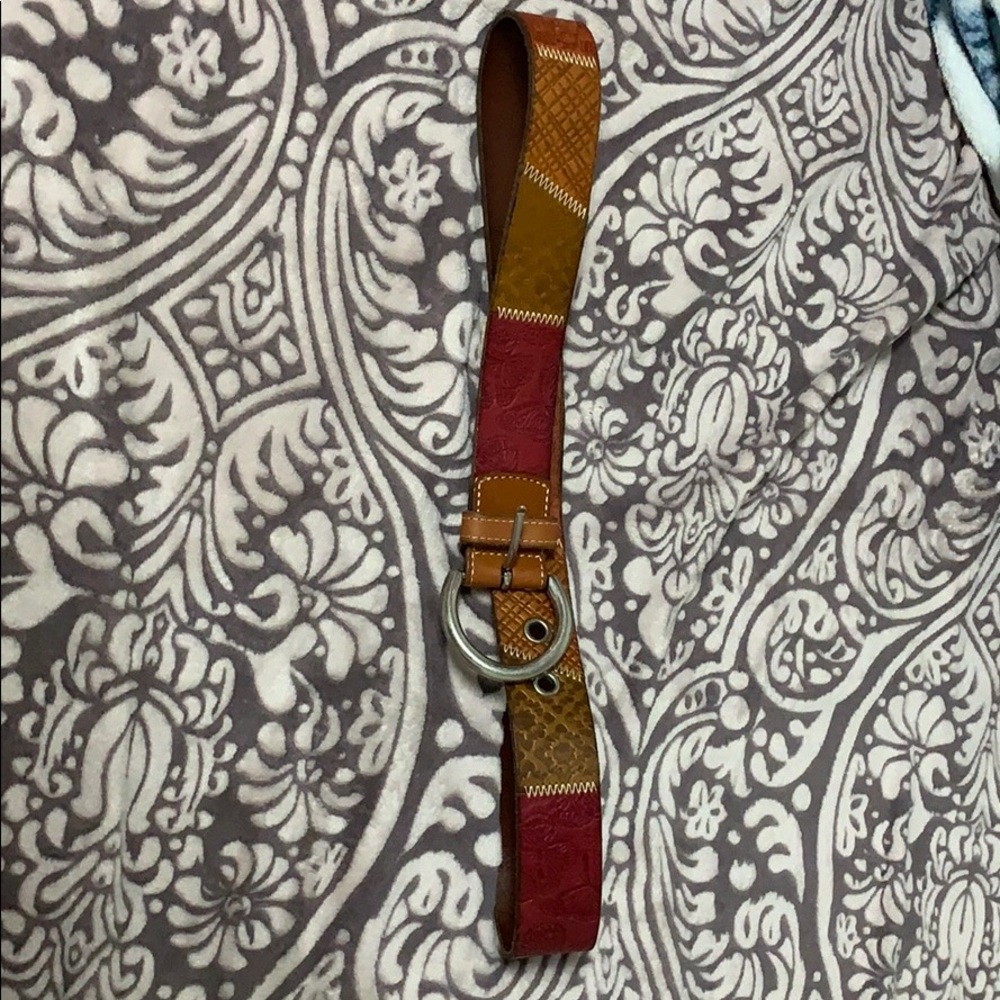 Fossil belt